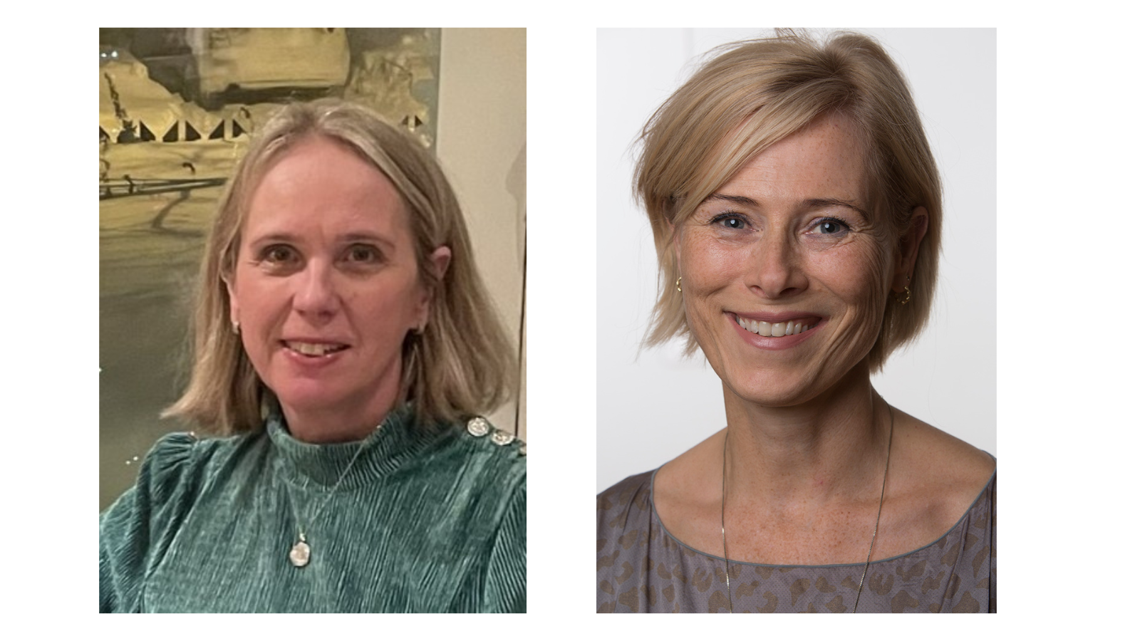 Authors